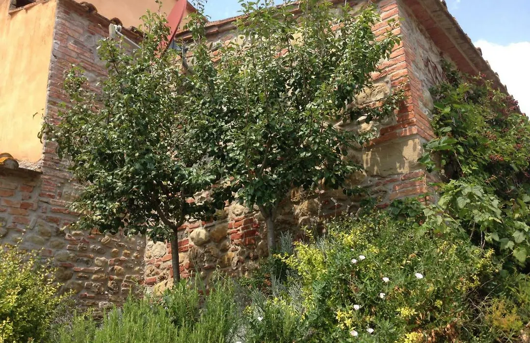 Agriturismo Pieve de Pitti-1